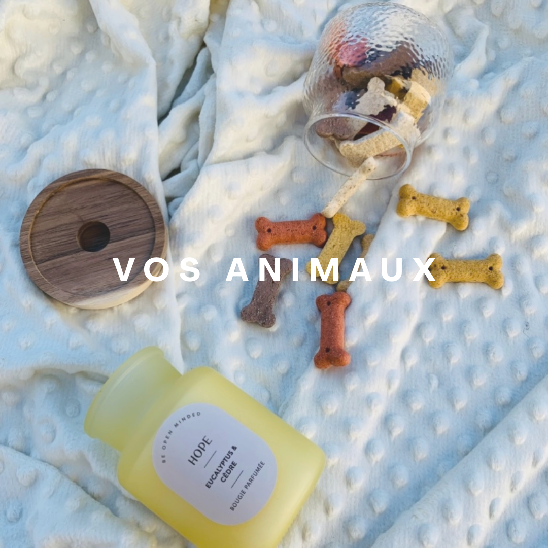Vos Animaux 🐾