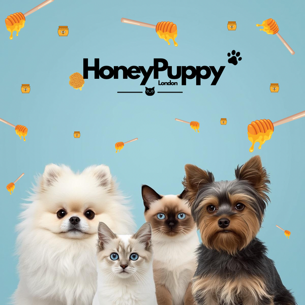 HoneyPuppyLondon